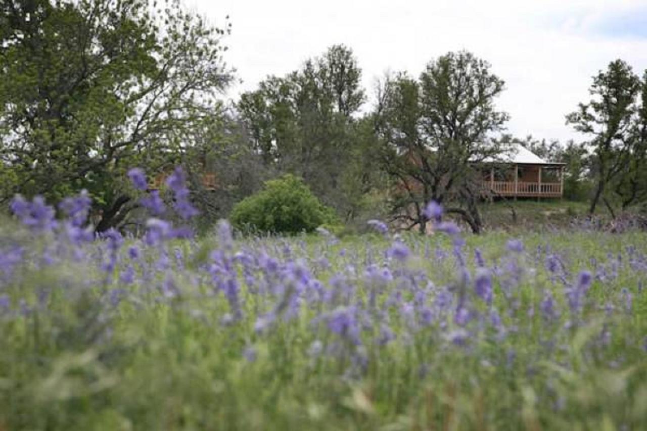 City On A Hill At Spring Creek Fredericksburg Ngoại thất bức ảnh