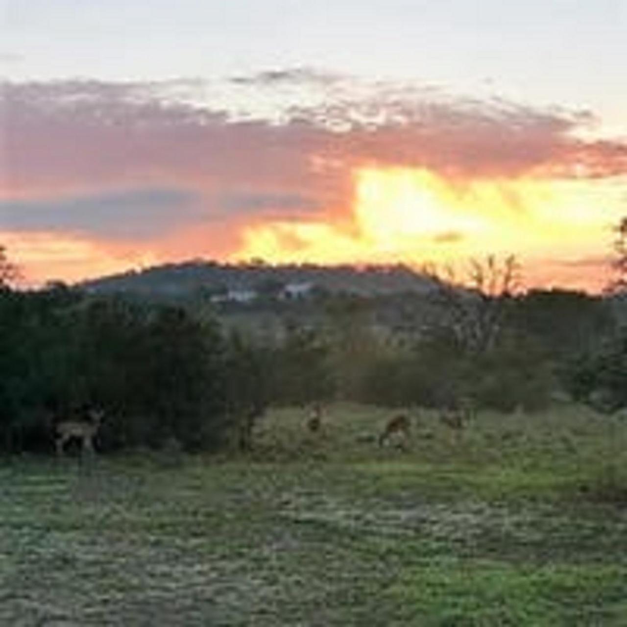 City On A Hill At Spring Creek Fredericksburg Ngoại thất bức ảnh