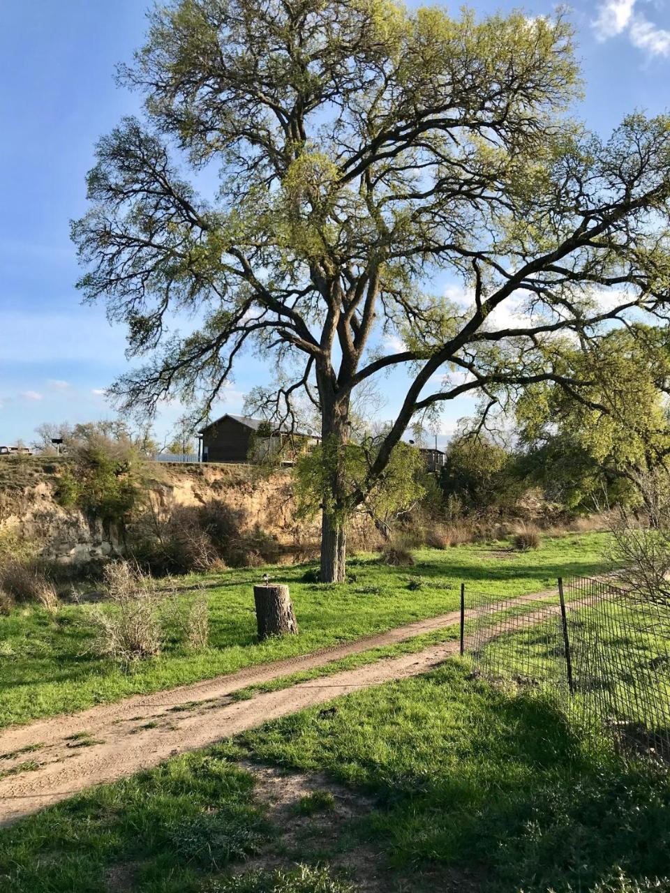 City On A Hill At Spring Creek Fredericksburg Ngoại thất bức ảnh
